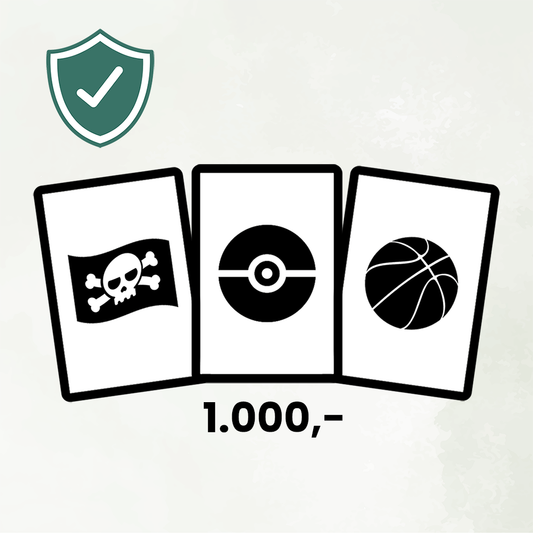 Forsikring - 1000.-